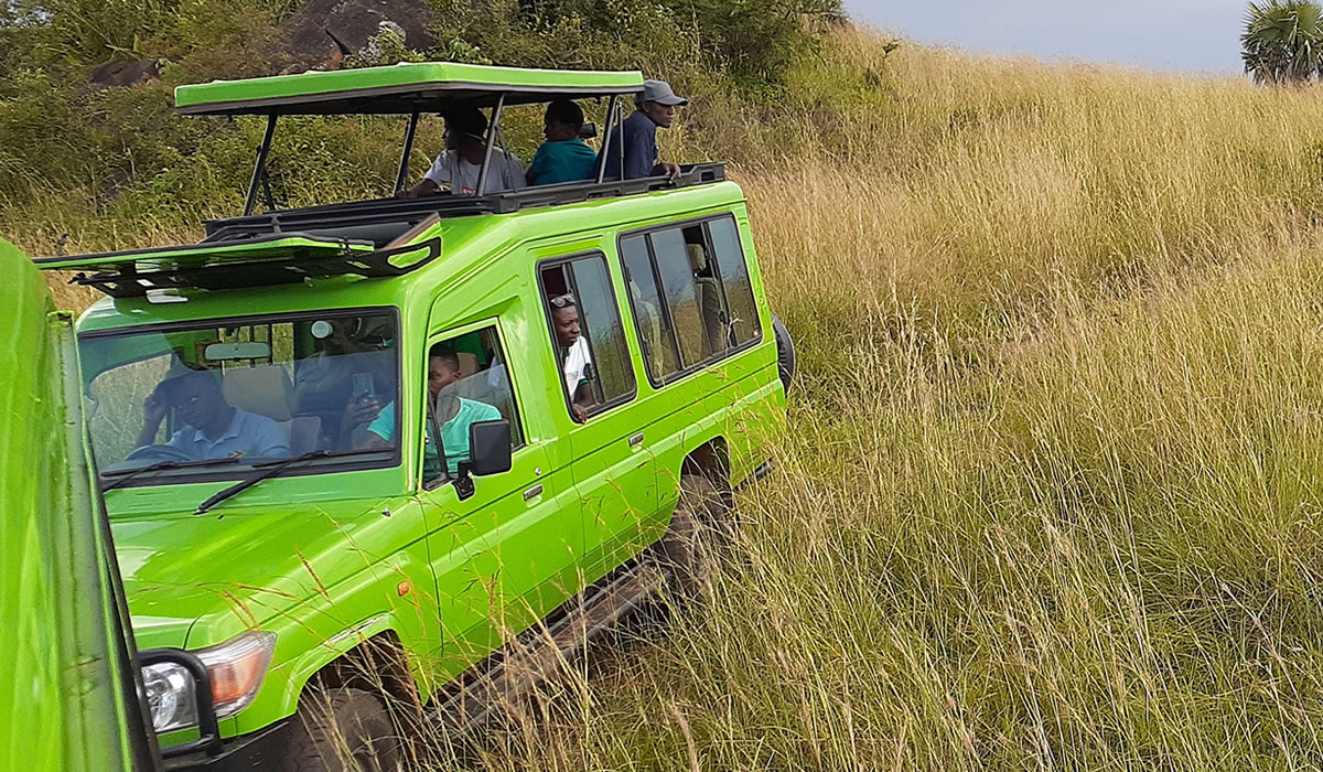 Wildlife Game Drives in Murchison Falls National Park