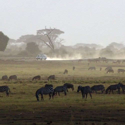 5 Days Kenya Wildlife Safari