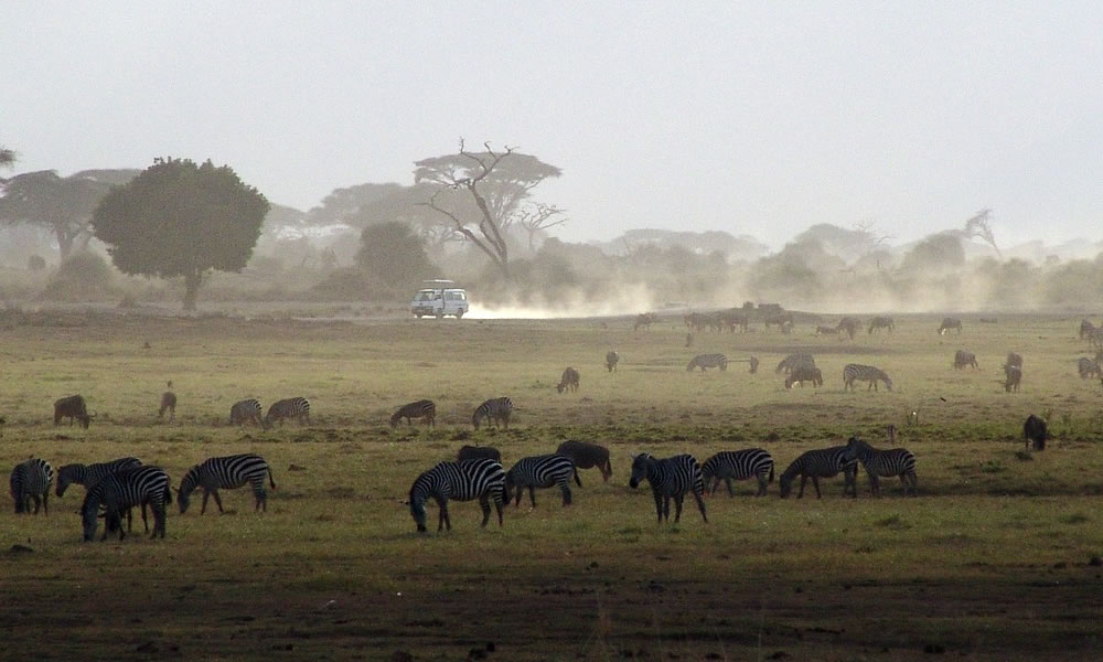 5 Days Kenya Wildlife Safari