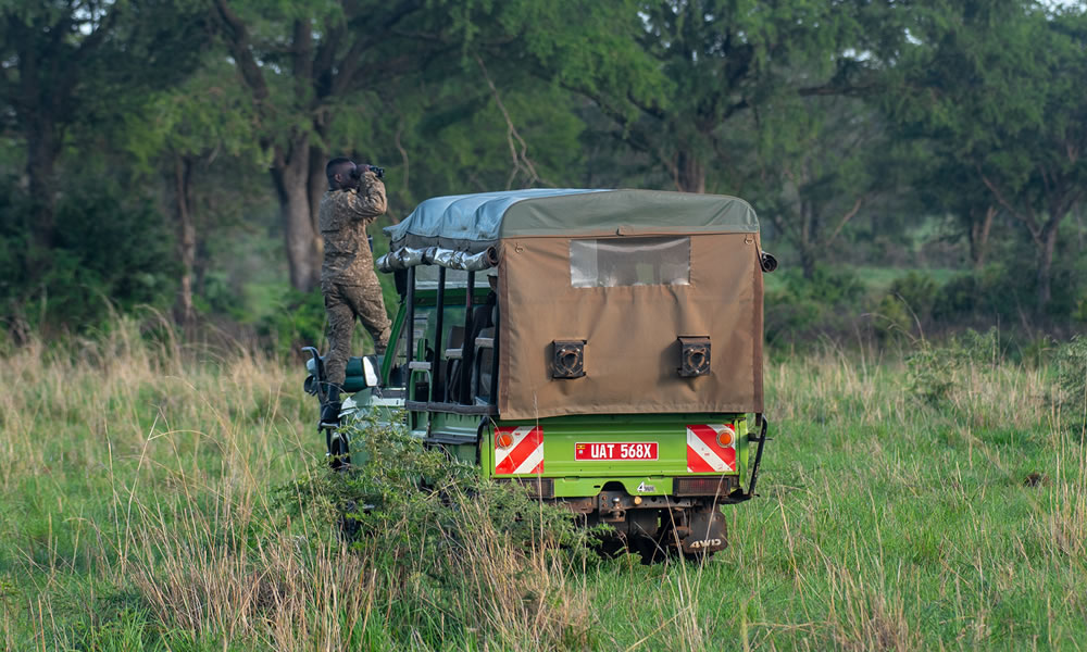 Wildlife Game Drives in Uganda