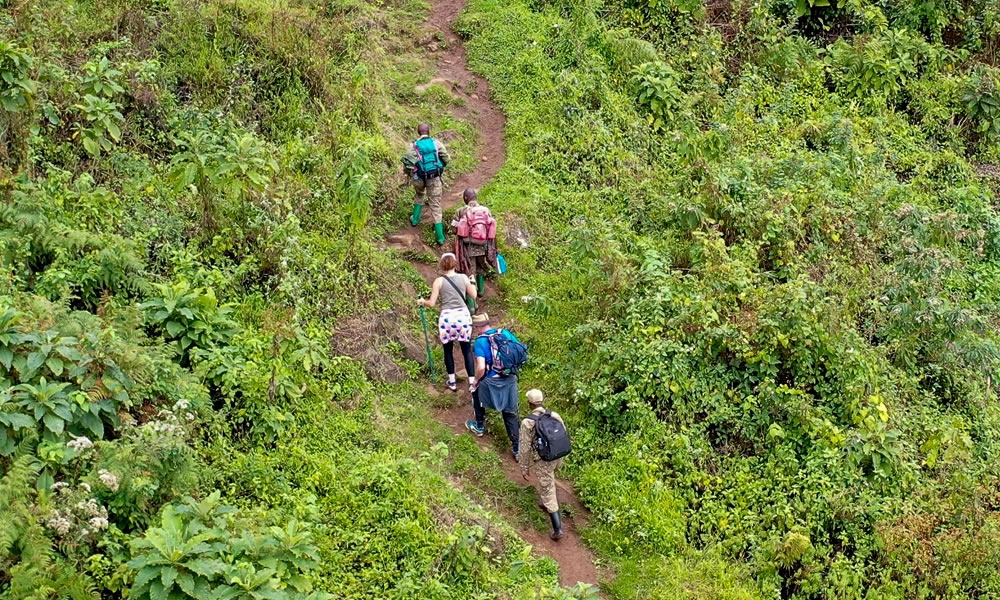 Guided Nature Walks in Uganda